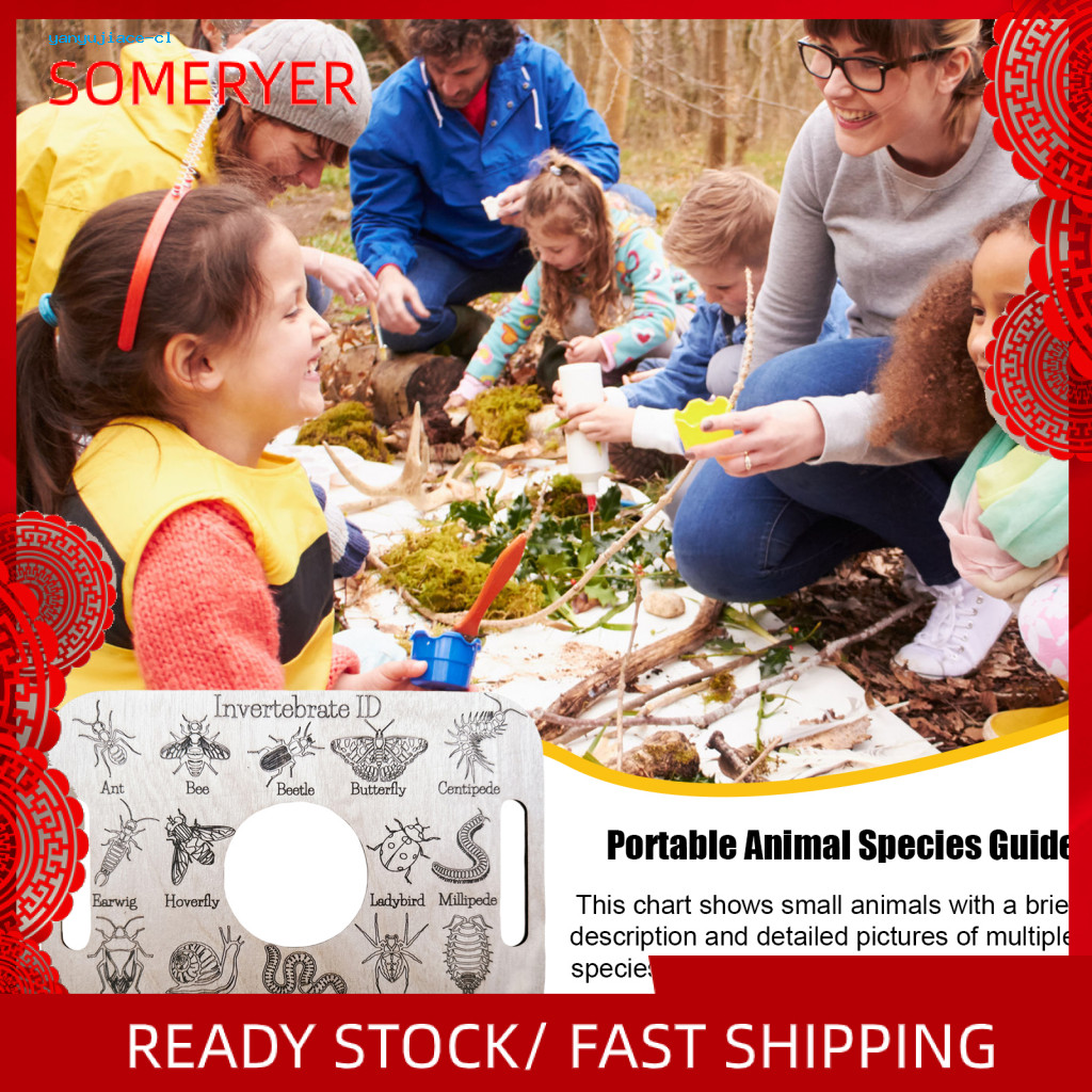 [yanyujiace] Educational Identification Ruler Identification Chart