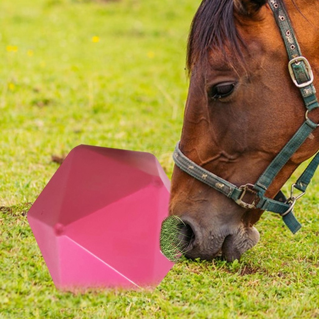 Horse Slow Feeder Hay Ball Horse Feed Ball Horse Boredom Toys for Chasing Herding Hay Feeder Toy