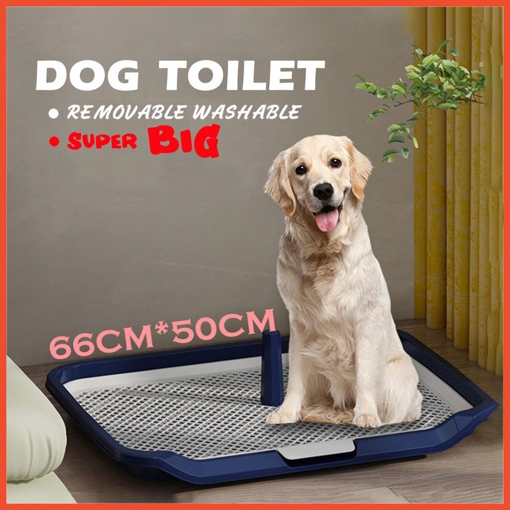 Extra Large Dog Toilet Tray Dog Training Toilet Potty Tray Pet Dog Pee Tray Potty Tray Large Shopee Philippines