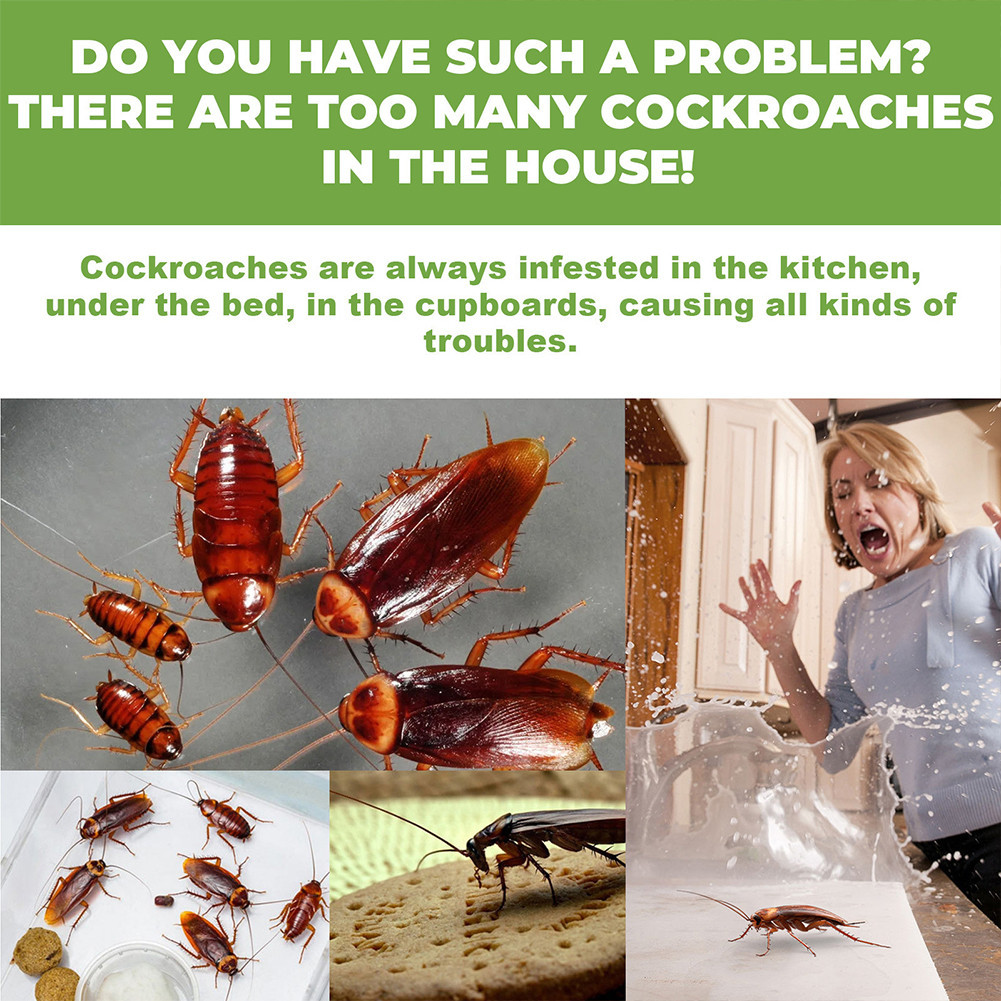 12Pcs Roach Deterrent Enduring Effect Roach Bait Stations for Indoor ...