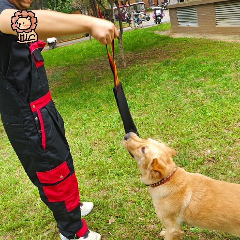 Dog Bite Rag Train, Bite Grip Build Prey Drive Leather Interactive Tug ...