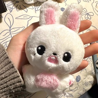 IVE Jang Wonyoung Cartoon Bunny Plush Dolls Gift For Girls Bag Pendant ...