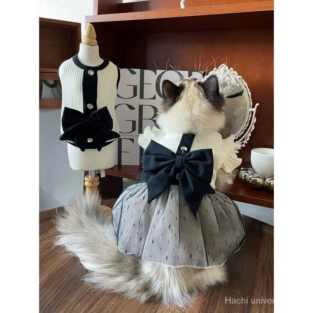 Dog Pomeranian Print Pattern Dress