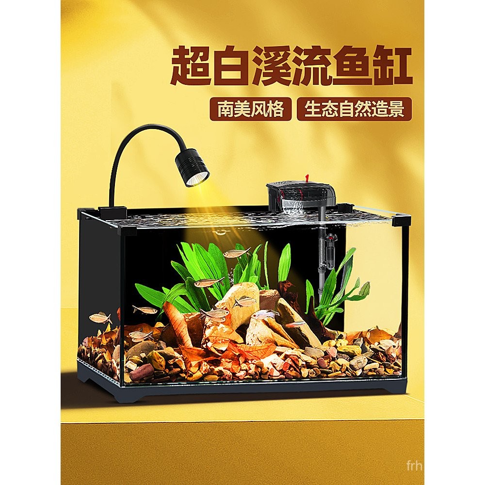 Home Aquarium Ultra Clear Glass South American Stream Tank Small Living ...