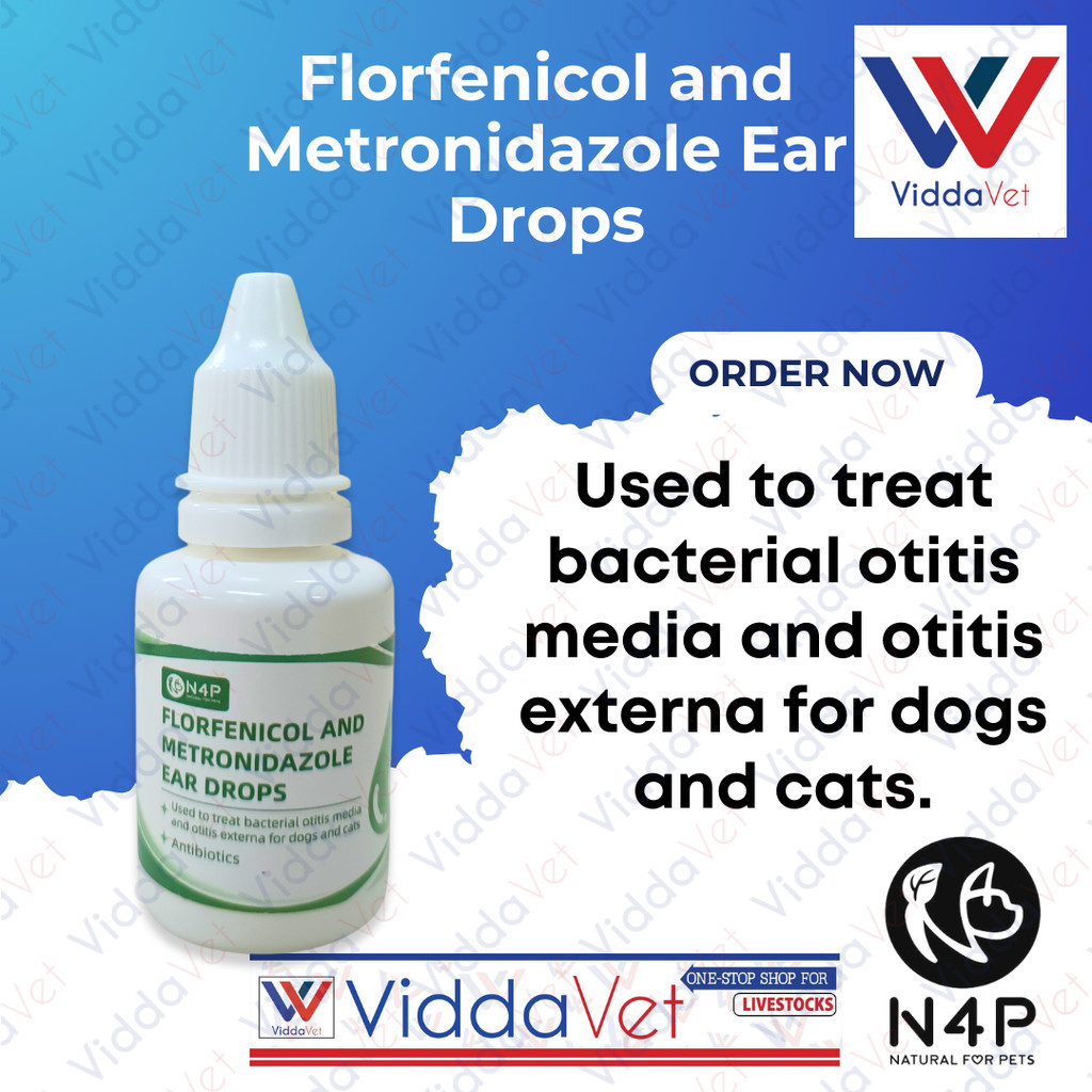 Florfenicol ear drops dog shop