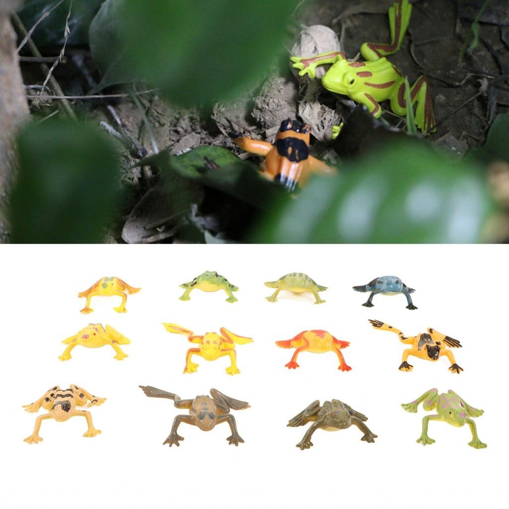 Rriioo 12PCS PVC Frogs Model Amphibian Teaching Toy Ornament Set ...