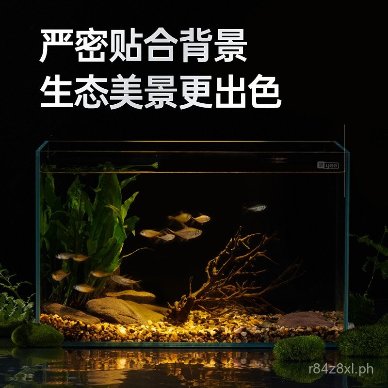 yee Ultra-Clear Glass Fish Tank Living Room Small Bare Tank Landscaping ...