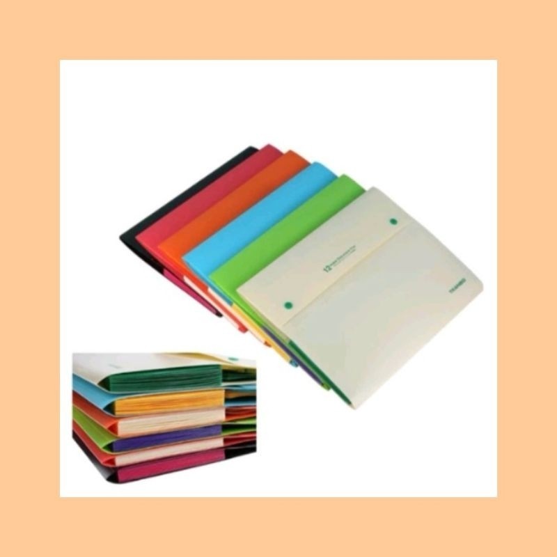 TECH99 12 Pocket Folder with Labels Letter Size Expanding File Folder ...