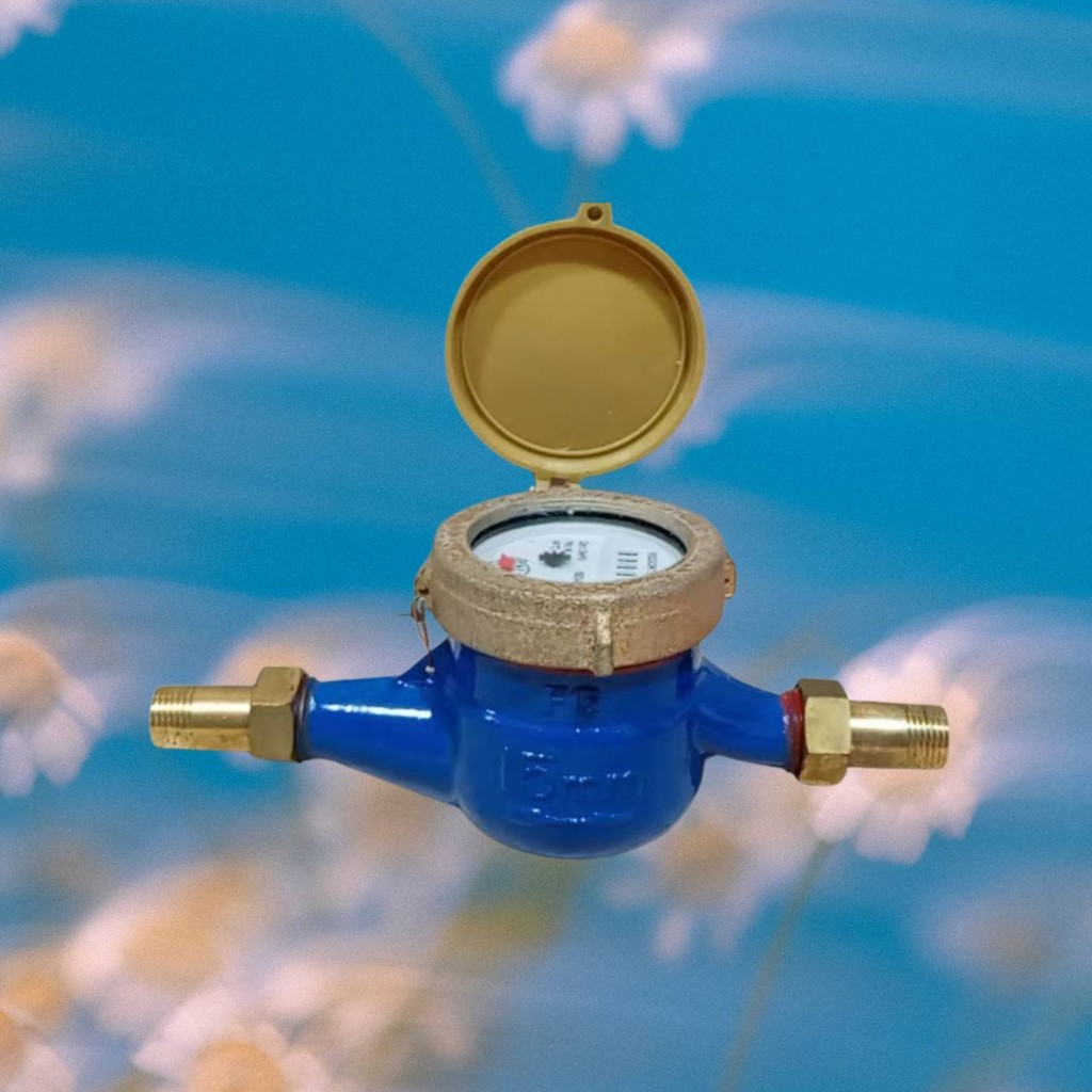 Durable Voschtech Water Sub Meter (Metal/Plastic) with Tail Piece ...