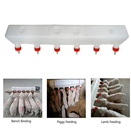 Baby bottle Piglet feeding device, piglet nursing mother machine ...