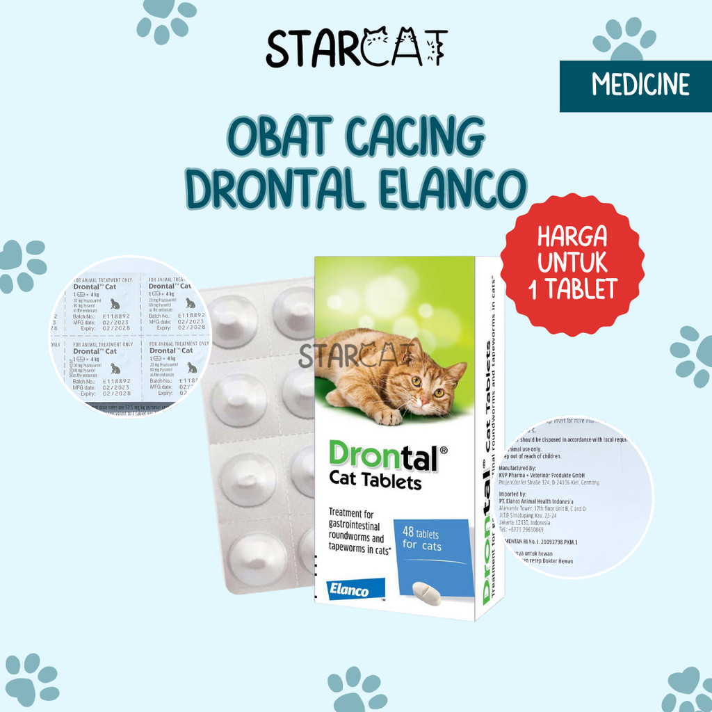 Sc Drontal Cat Original Elanco Original Cat Worm Medicine Diarrhea Cat