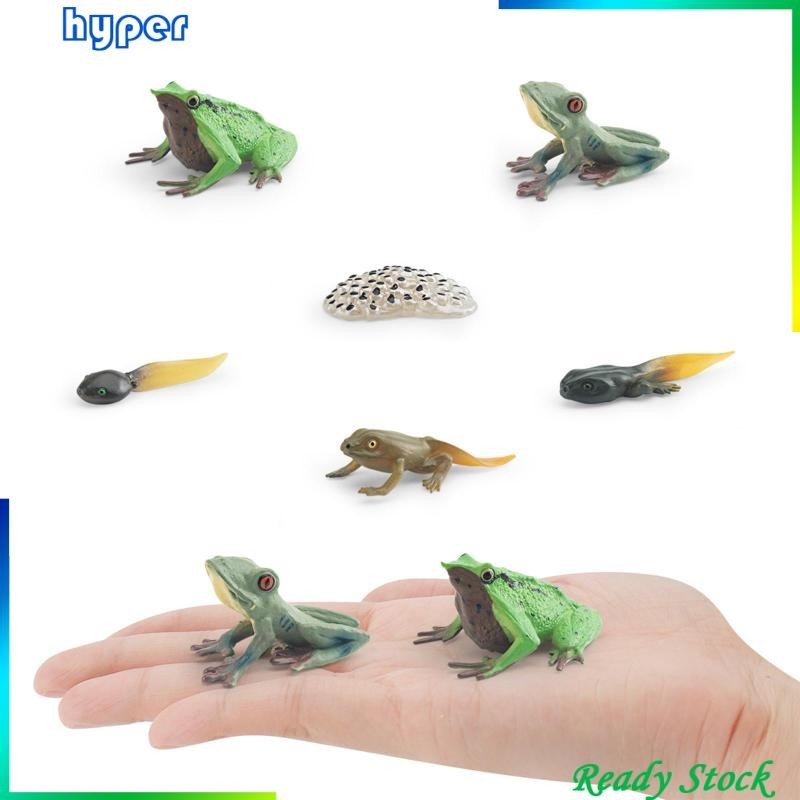 [ Life Cycle of Frog Toys Science Cake Toppers Animal Life Growth Cycle ...