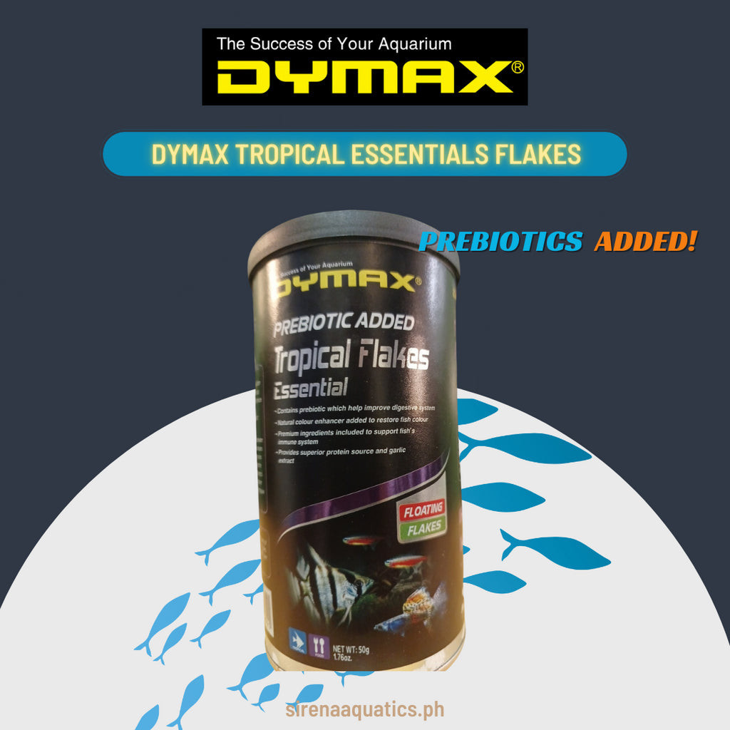 Dymax Tropical Essential Floating Flakes with Garlic Extract for ...