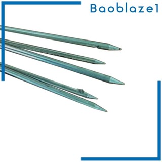 [Baoblaze1] Gigs Fishing Gaffs Pole Spear Fishing Fork Tip Stainless ...