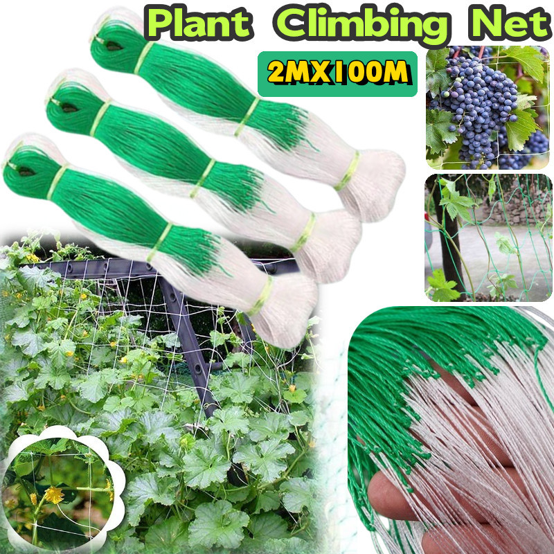 2MX100M Garden Plant Climbing Net Cucumber Vegetables Fruit Trellis ...