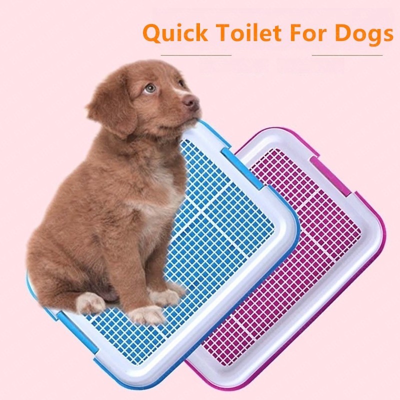 Dog Toilet Flat Dog Toilet With Column Grid Format Enclosure Quick Dog ...