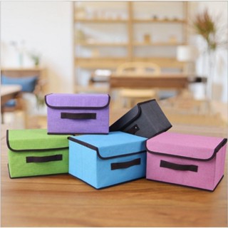 SCY 2in1 Plain Color Foldable Storage Box Organizer With Cover set ...