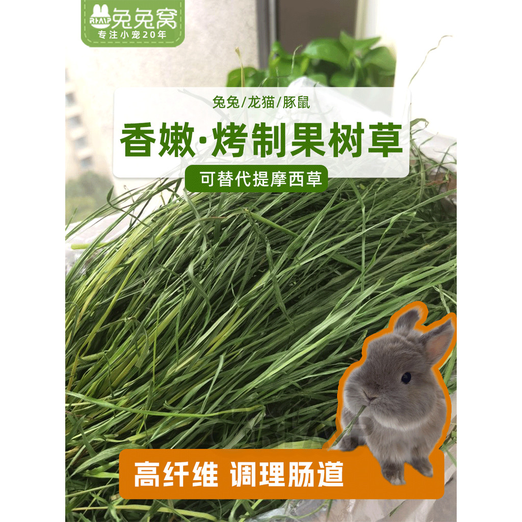 Curated visual reference: Gallery Detail: 2024Drying Fruit Tree Grass High Fiber Hay Substitute Timothy Grass