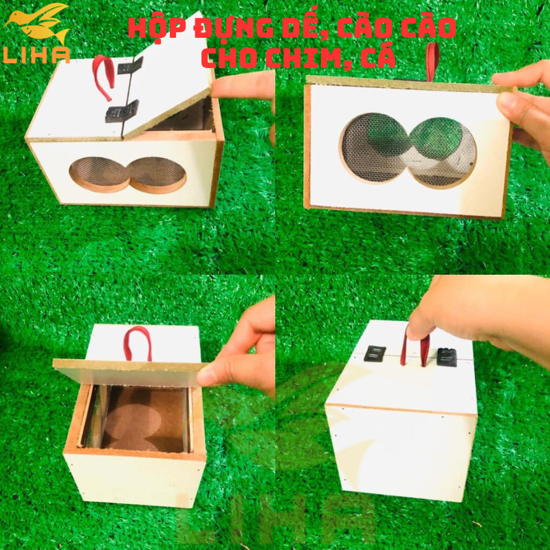 Cricket and Scratching Box for Birds - Ventilated and Convenient Design ...