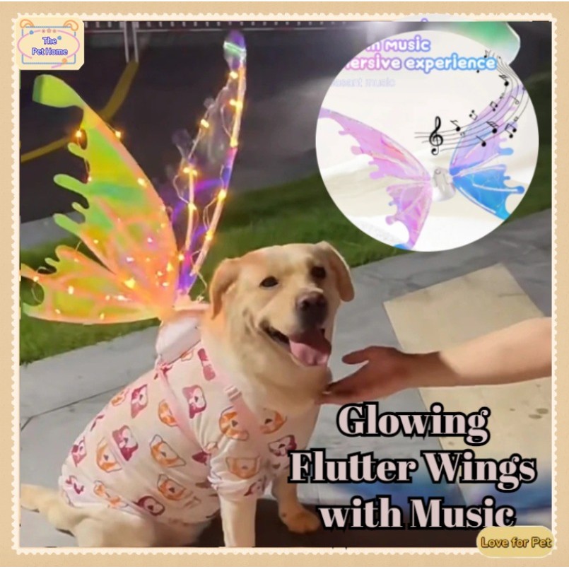 Pet Fairy Wings, Dog Wings, USB Rechargeable Electric