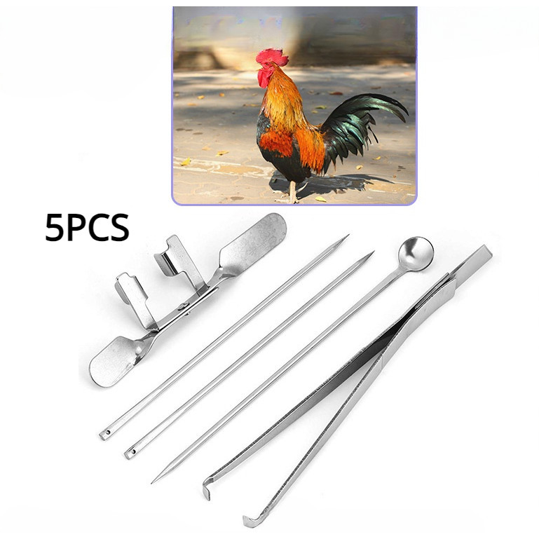 5PCS Big Chicken Castration Tools Kit Stainless Steel Cock Rooster ...