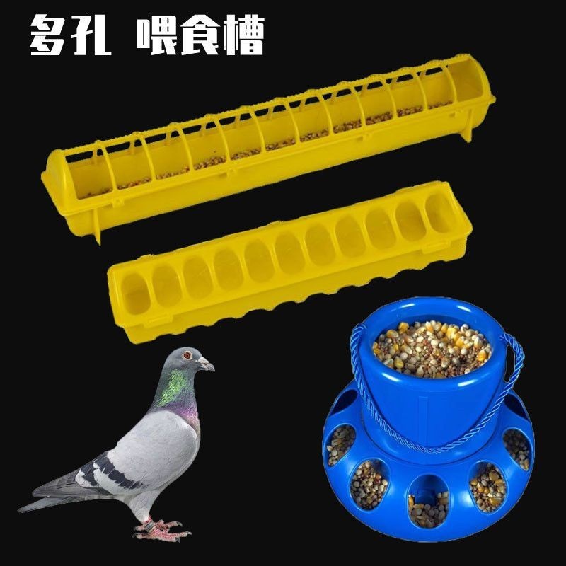 Pigeon Food Trough Anti-Spilling Believe Pigeon Porous Food Trough ...