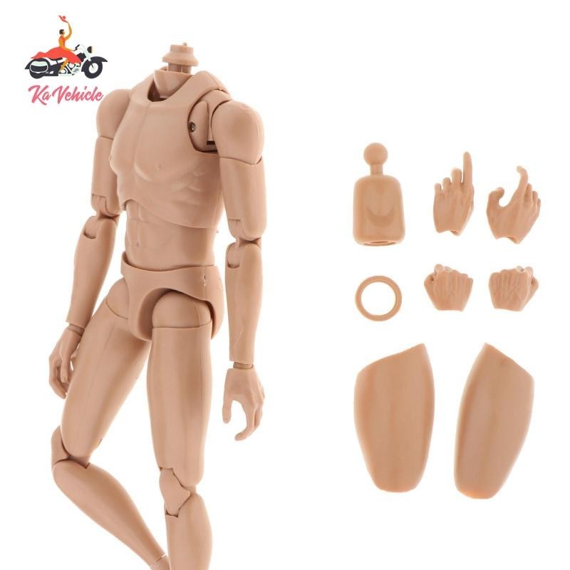 [Whstrong] 1:6 Scale Joint Narrow Shoulder Male Figure Body with Hand ...