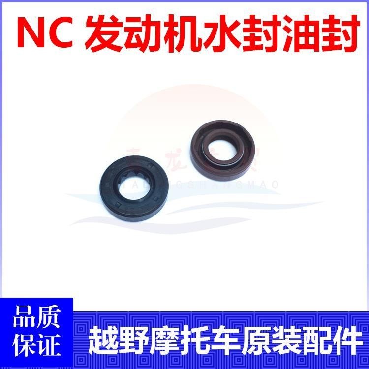 Zongshen NC250 Engine TK6 Extreme Thief Warrior Wolf Pawn Mabei Sea Off