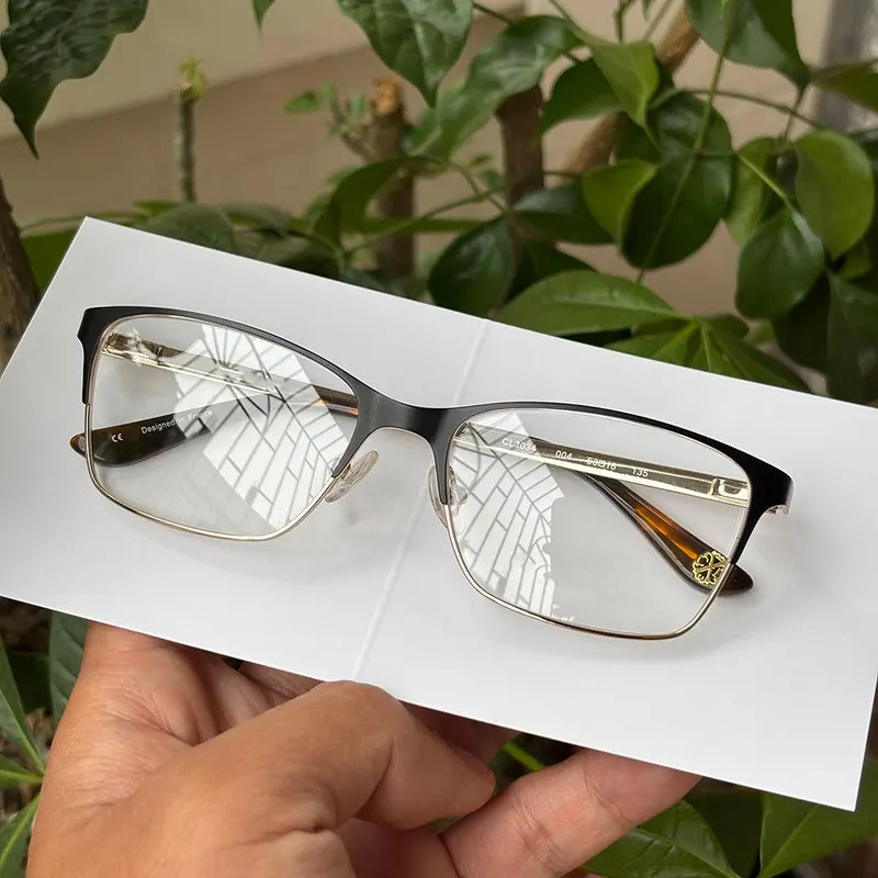 Women Luxury Style Glasses Frames Stainless Steel Spring Hinge Eyewear ...