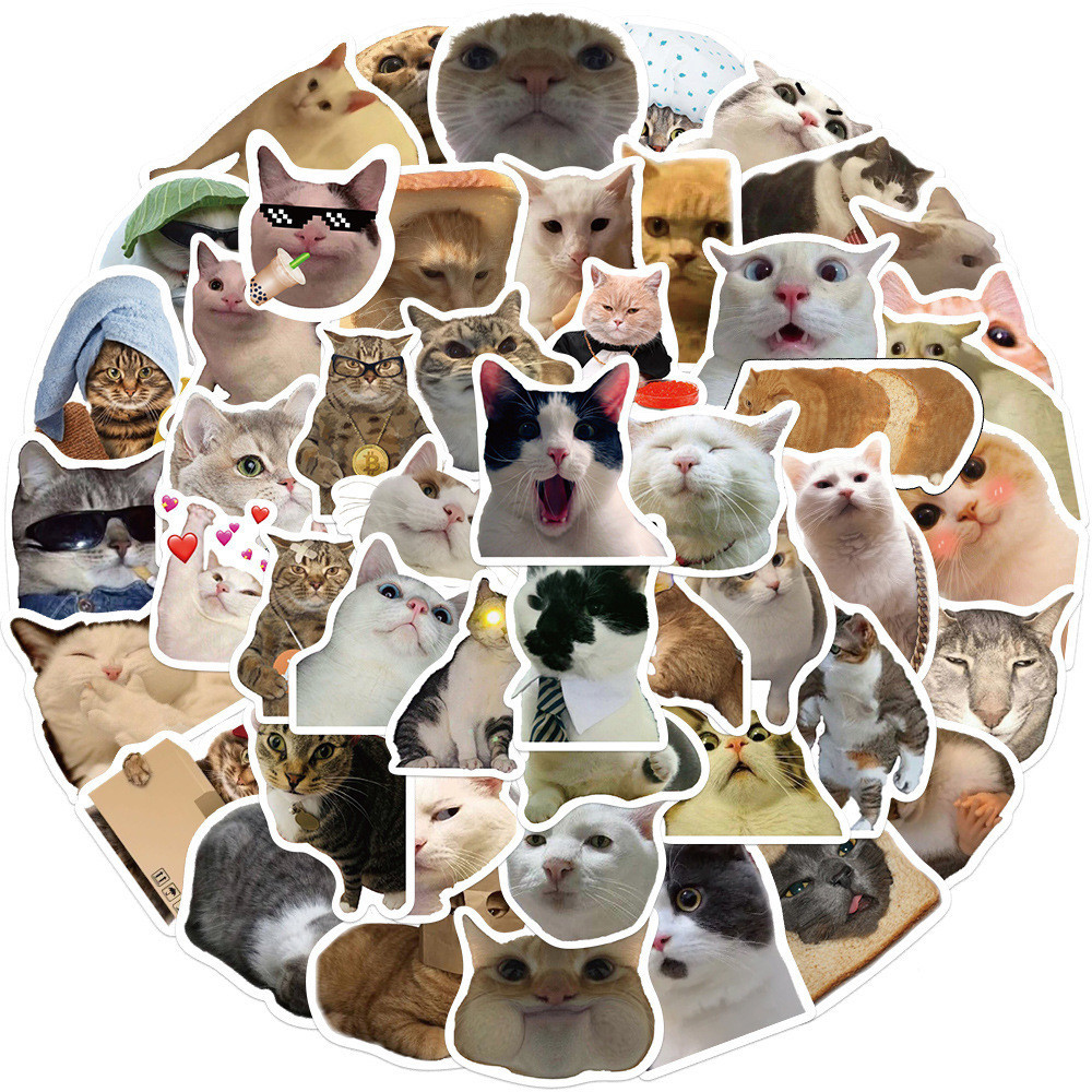 50PCS Cute Cat Stickers Vinyl Waterproof Funny Cats Decals for Water ...