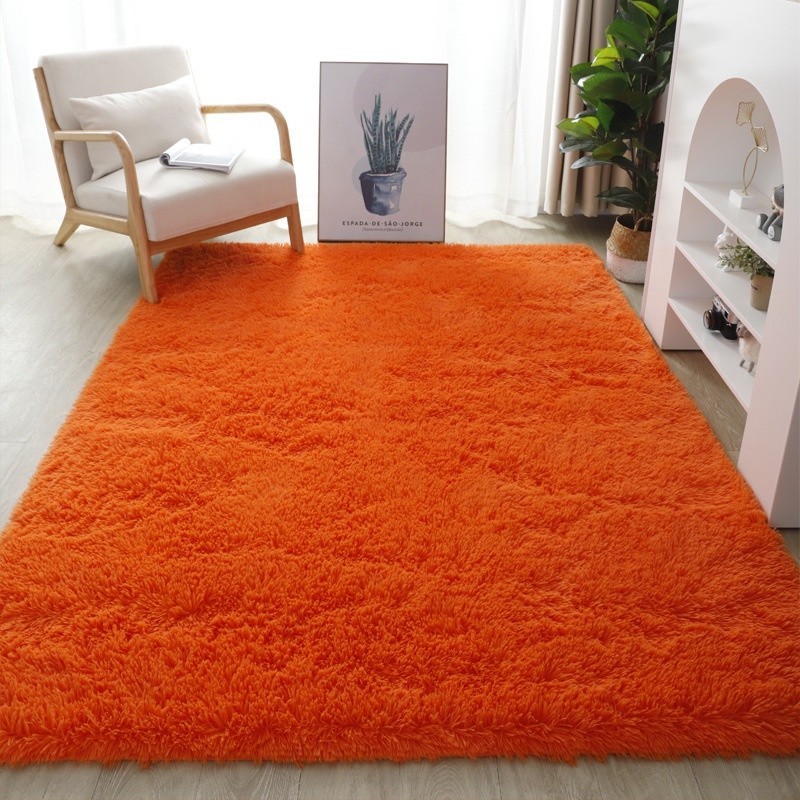 PBLN Fluffy Orange Plush Carpets and Rugs for Home Living Room ...