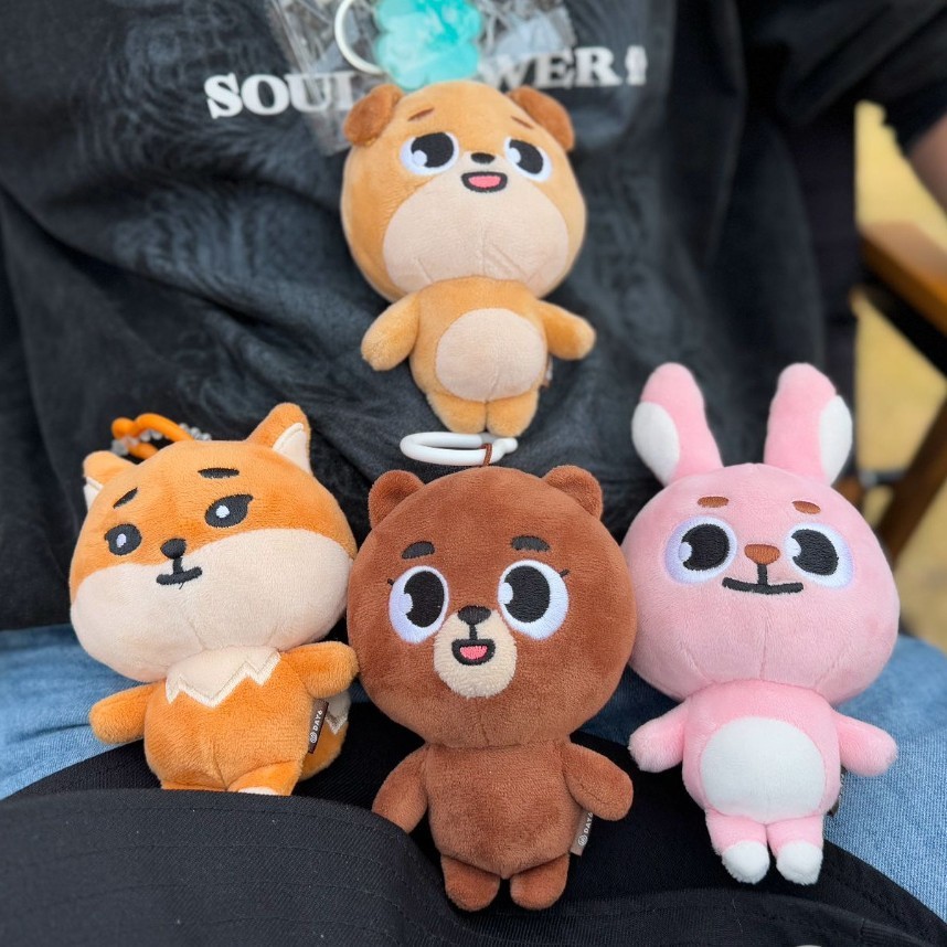 Kpop DAY6 DENIMALZ Plush Bag Keychain Doll Pendant Wonpil Sungjin