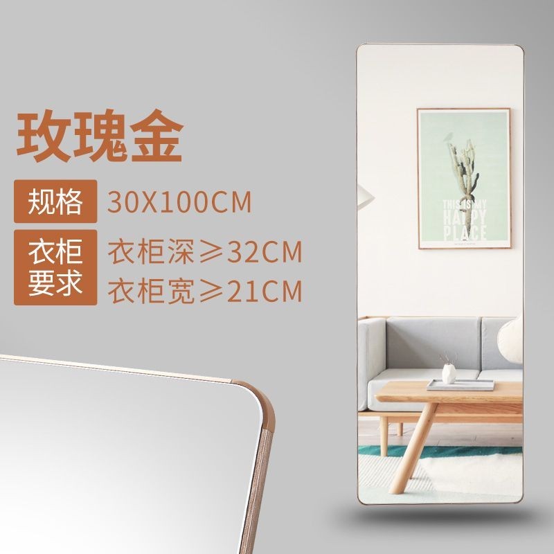 Push-Pull Full-Length Mirror Inner Rail Full-Length Mirror Bedroom ...