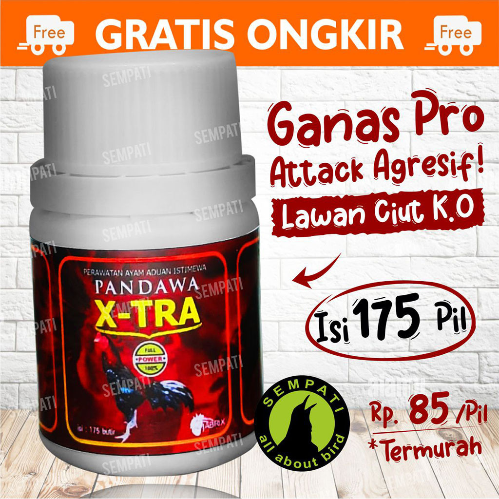 Pandawa X-Tra Xtra Extra Vitamin Medicine For Rooster Fighting Fighting ...