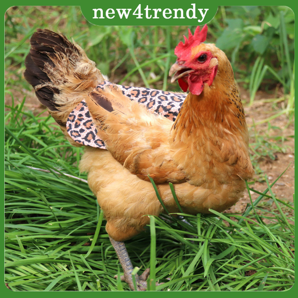 Pack of 5 Chicken Saddle with Jackets Hens Accessories Presents Elastic