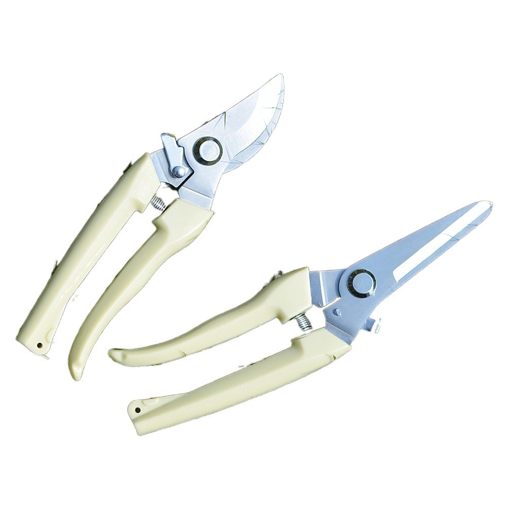 Gardening scissors tool garden fruit tree orchard pruning ♣ scissors ...