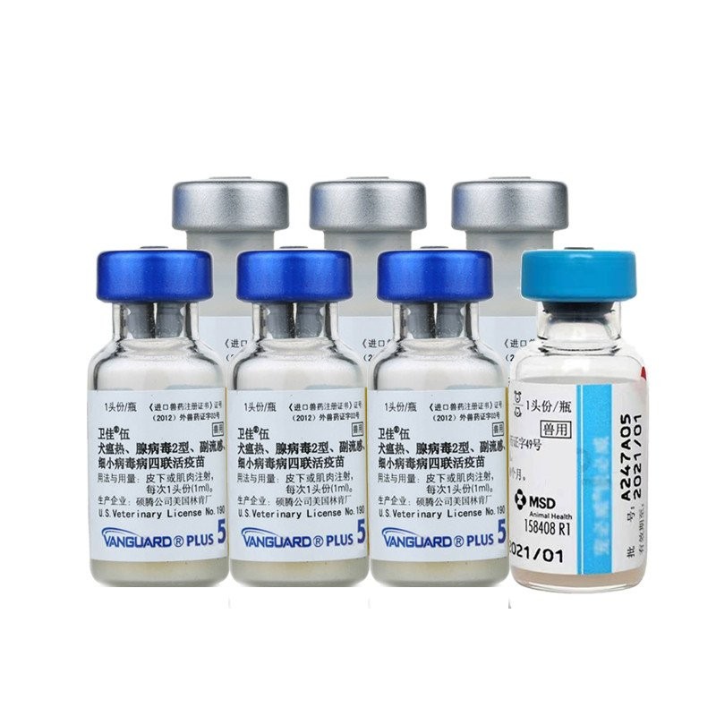 Pfizer Viralac Five Puppy Vaccine for Teddy, Golden Retriever, Labrador ...