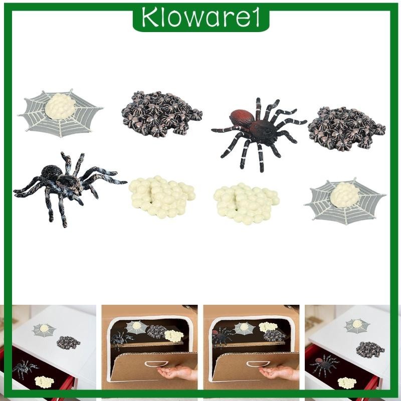 [Kloware1] Life Cycle Model Biology Model Cake Toppers Cognitive ...