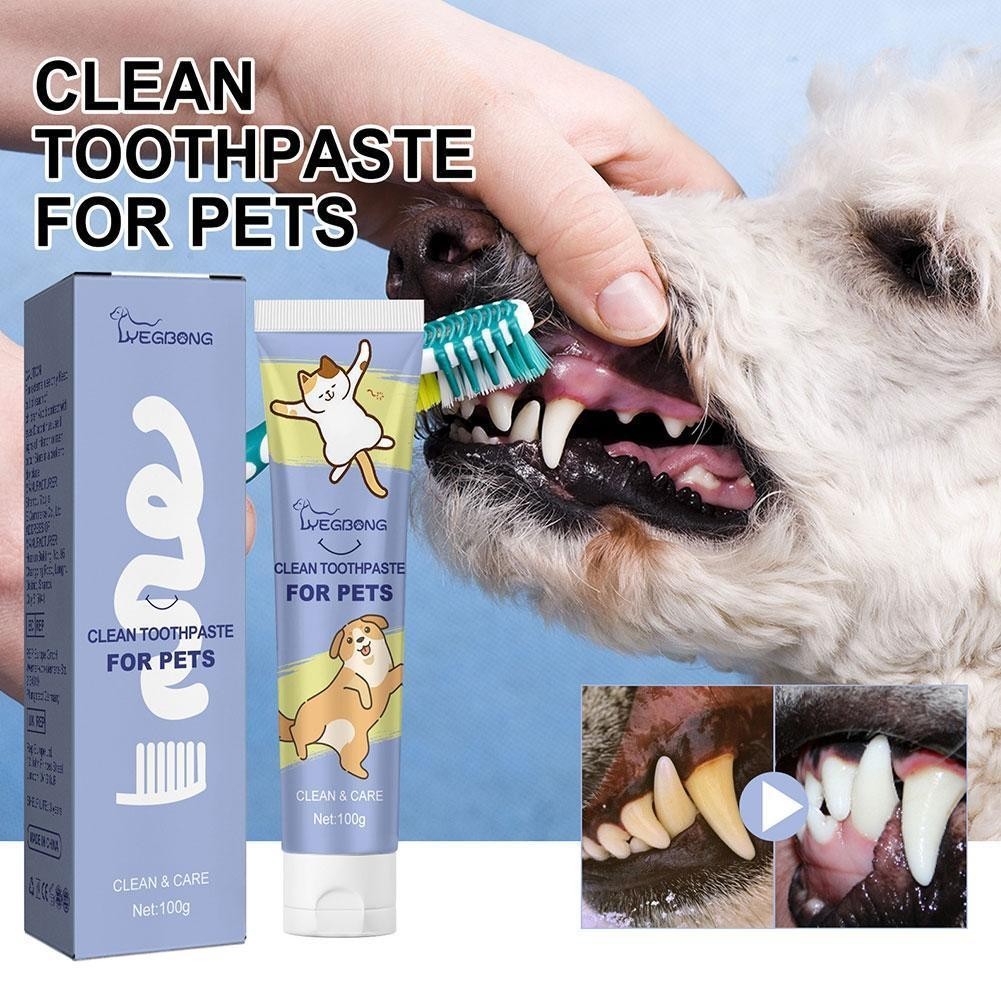 Pet Toothpaste For Dogs And Cats Dental Care Teeth Cleaning Tool Safe ...