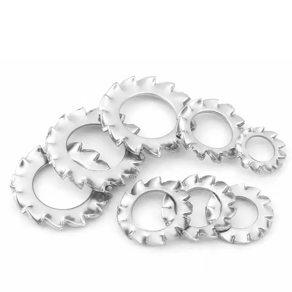 304 Stainless Steel Outer Sawtooth Washer M3-M30 (LGQ) | Shopee Philippines