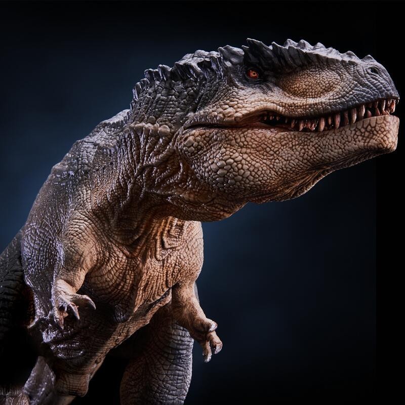 The New Southern Giganotosaurus 1/35 Dinosaur Model Museum of Wan Long ...