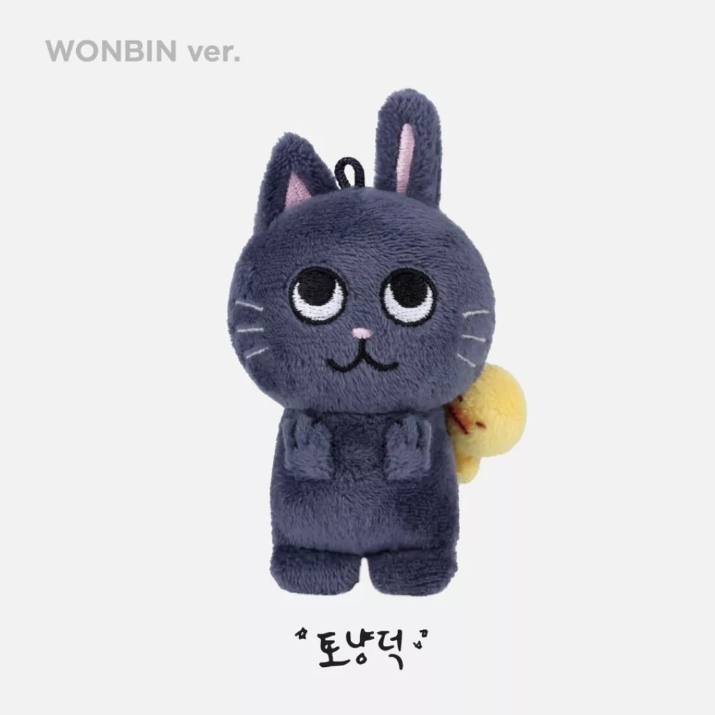 アイドル 10CM DOLL KEY RING EUNSEOK ktown4u.com : RIIZE