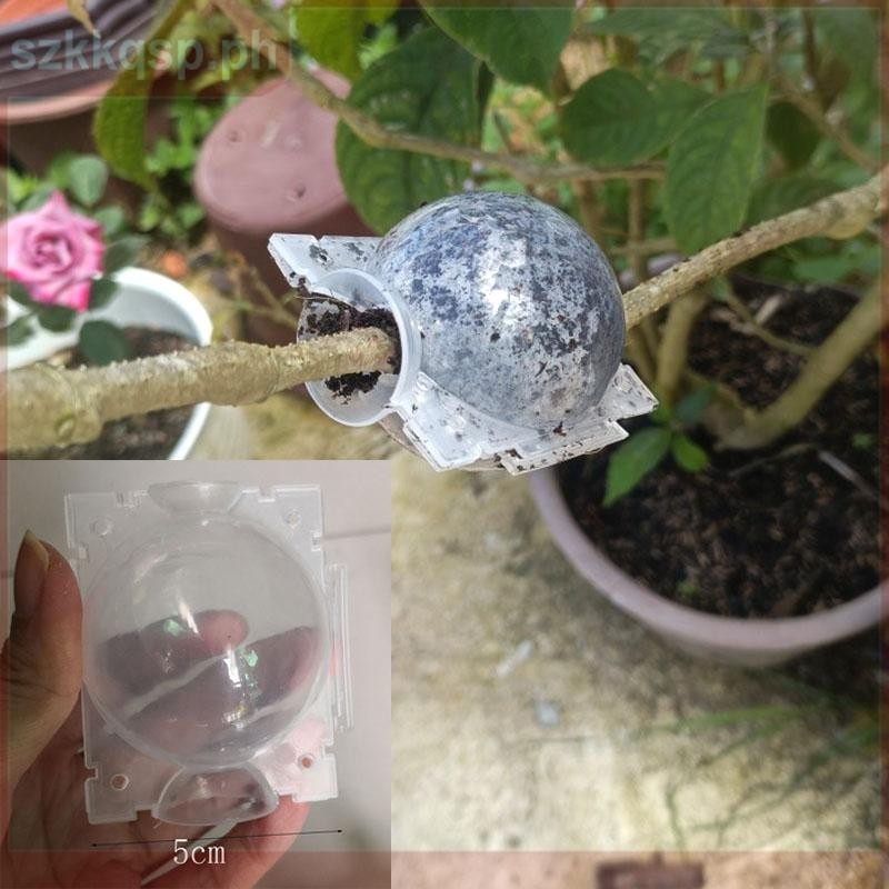 5cm Tree Plant Rooting Ball Fruit Root Growing Boxes Case Grafting ...