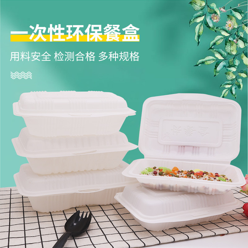 Disposable Lunch Box Rectangular Plastic Takeaway Rice Packing Box ...