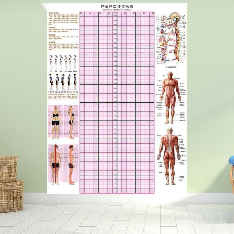 Posture Assessment Chart Wall Sticker Yoga Studio Posture System Chart ...