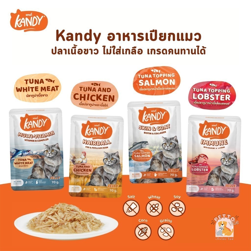 Kandy Candy Wet Cat Food No Salt Made From White Fish 70 G. | Shopee ...