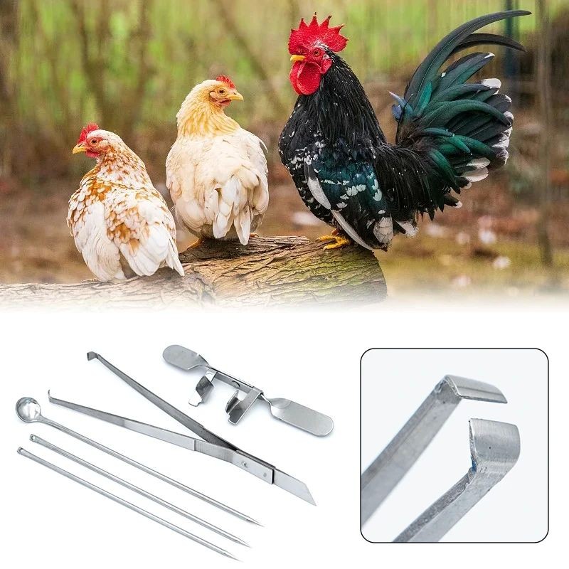 Stainless Steel Castration Tools Big Chicken And Little Chicken New ...