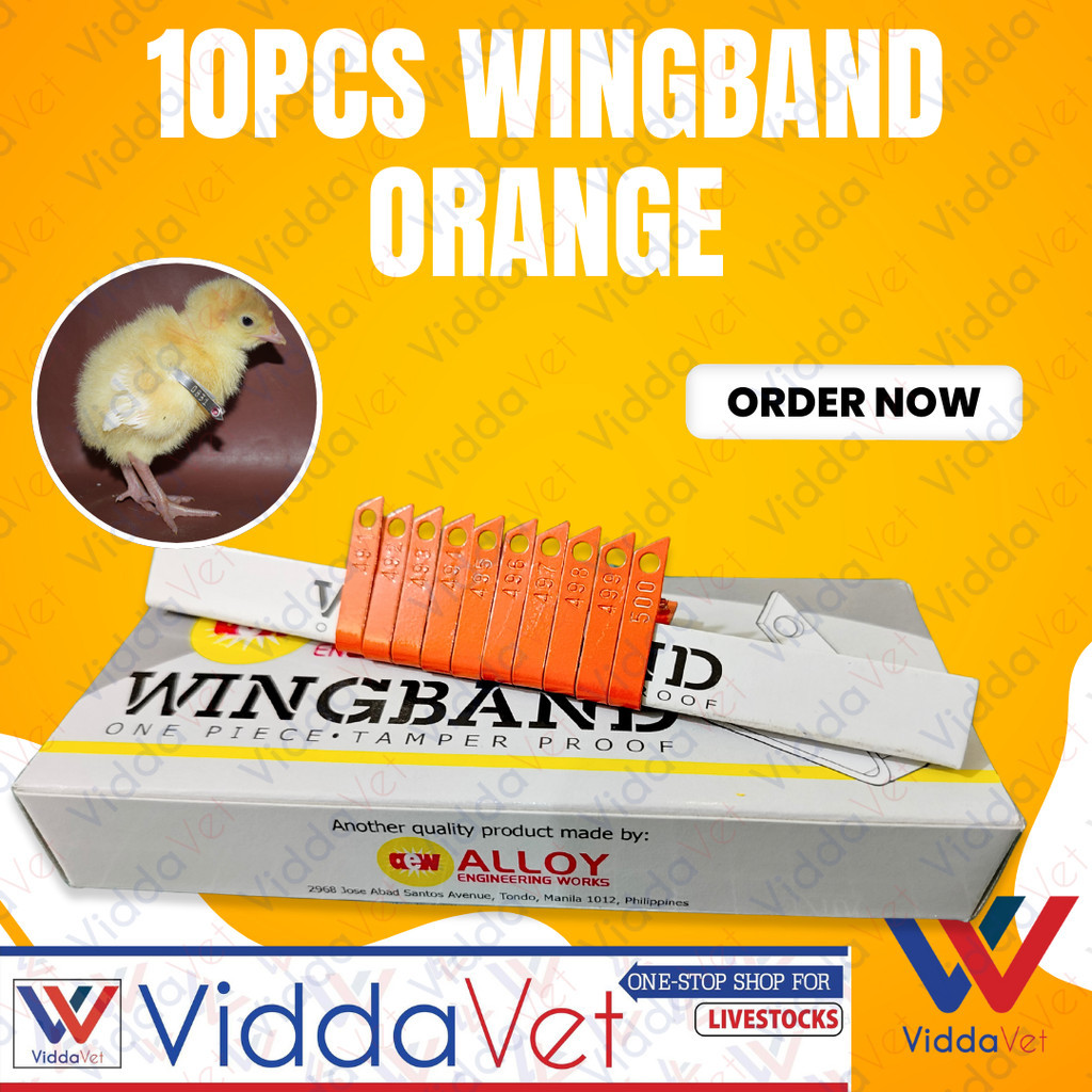 10pcs Wingband Orange for chicken wings wingband Wingbands for ...
