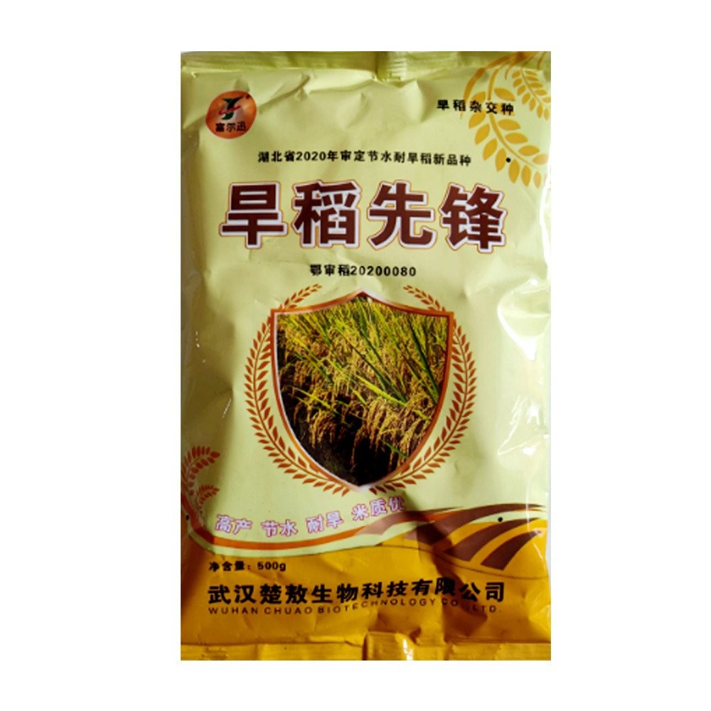Hybrid Long Grain Rice Dry Rice Rice Seed Dry Rice Seeds Planting Rice ...