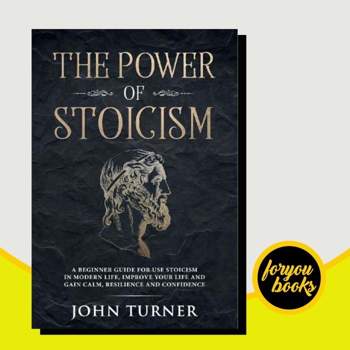 The Power of Stoicism: A Beginner Guide For Use Stoicism in Modern Lift ...